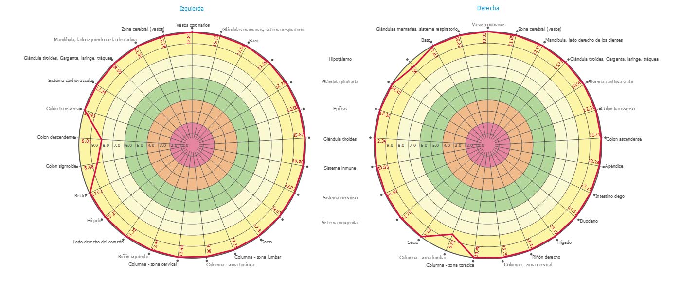 diagrama-de-energía del Aura, Campo Bioeléctrico y Bioelectrografía