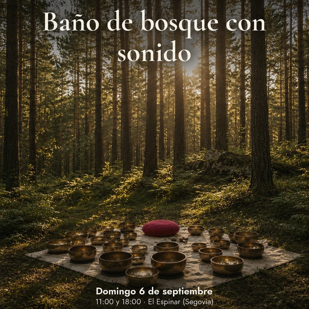 2026-09-06 Baño de Bosque con Sonido